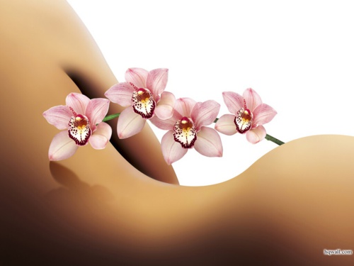 Instant beauté · Photos 4